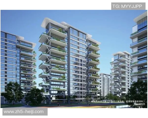 上海足球的崛起与发展探讨：从历史到未来的全景分析