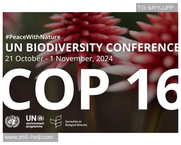 奥兰多与蒙特利尔激战正酣谁能在这场较量中笑到最后